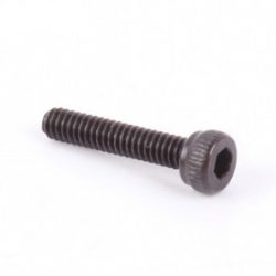 Hex Screw M2x10 (20pcs)